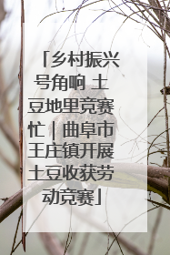 乡村振兴号角响 土豆地里竞赛忙｜曲阜市王庄镇开展土豆收获劳动竞赛