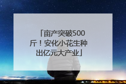 亩产突破500斤！安化小花生种出亿元大产业