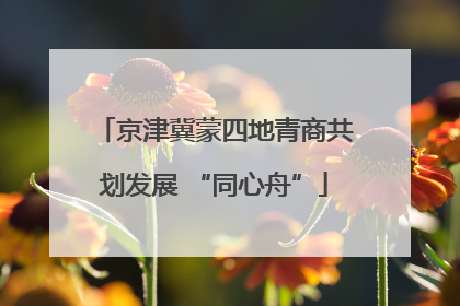 京津冀蒙四地青商共划发展 “同心舟”