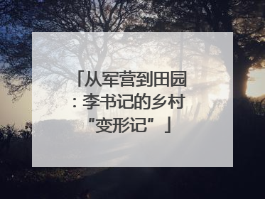 从军营到田园：李书记的乡村 “变形记”