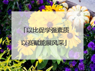 以比促学强素质 以赛赋能展风采