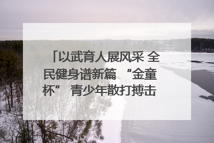 以武育人展风采 全民健身谱新篇 “金童杯” 青少年散打搏击邀请赛圆满落幕