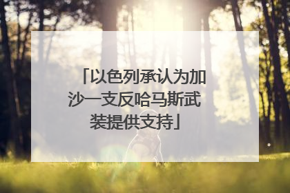 以色列承认为加沙一支反哈马斯武装提供支持
