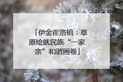 伊金霍洛镇：草原绘就民族“一家亲”和谐画卷