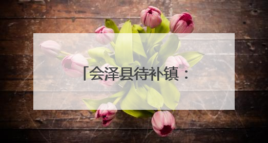 会泽县待补镇：“红马甲”进村入户开展“零距离”暖心服务