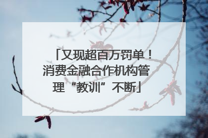 又现超百万罚单！消费金融合作机构管理“教训”不断