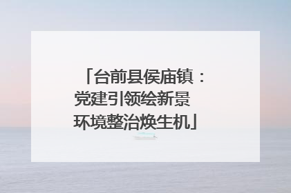 台前县侯庙镇：党建引领绘新景 环境整治焕生机