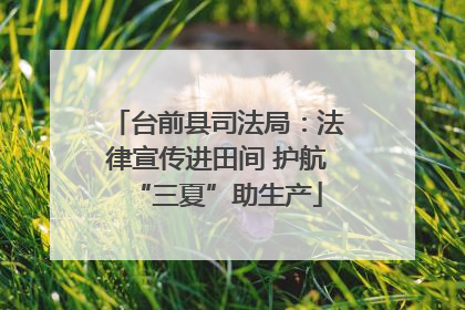 台前县司法局：法律宣传进田间 护航“三夏”助生产