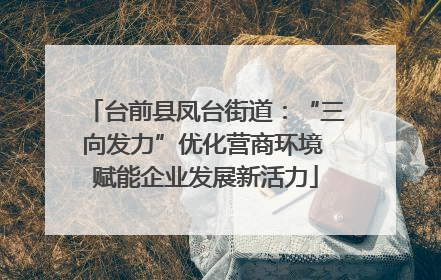 台前县凤台街道：“三向发力”优化营商环境 赋能企业发展新活力