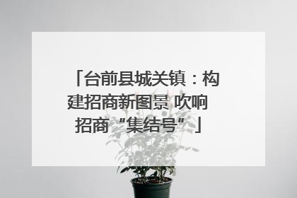 台前县城关镇：构建招商新图景 吹响招商“集结号”