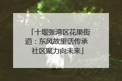 十堰张湾区花果街道：东风故里话传承 社区聚力向未来