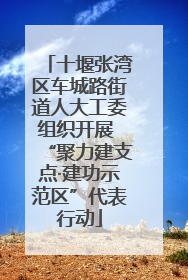 十堰张湾区车城路街道人大工委组织开展 “聚力建支点·建功示范区”代表行动
