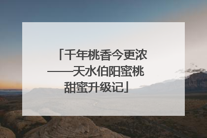 千年桃香今更浓——天水伯阳蜜桃甜蜜升级记
