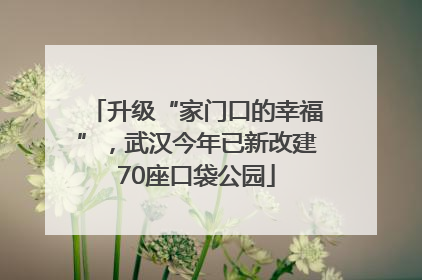 升级“家门口的幸福”，武汉今年已新改建70座口袋公园