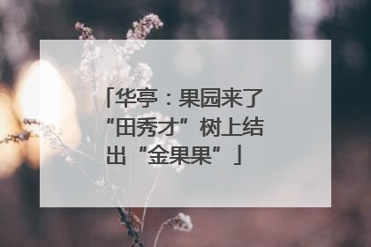 华亭：果园来了“田秀才”树上结出“金果果”