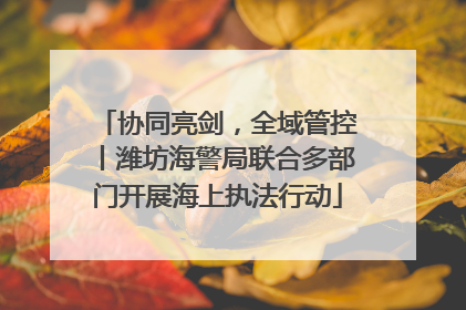 协同亮剑，全域管控丨潍坊海警局联合多部门开展海上执法行动