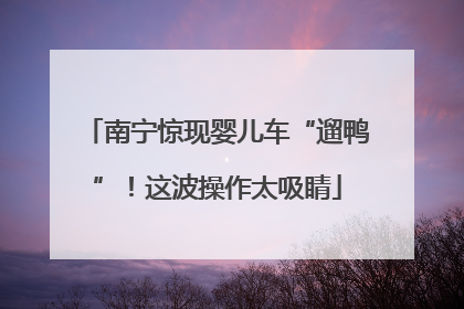 南宁惊现婴儿车“遛鸭”！这波操作太吸睛
