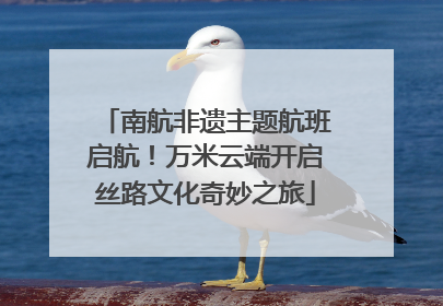 南航非遗主题航班启航！万米云端开启丝路文化奇妙之旅