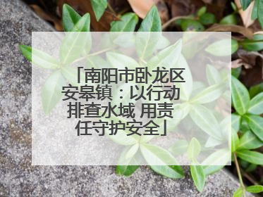 南阳市卧龙区安皋镇：以行动排查水域 用责任守护安全