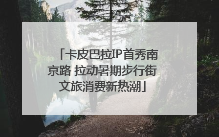 卡皮巴拉IP首秀南京路 拉动暑期步行街文旅消费新热潮