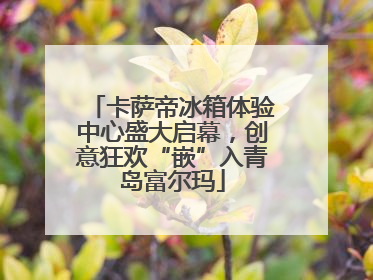 卡萨帝冰箱体验中心盛大启幕，创意狂欢“嵌”入青岛富尔玛