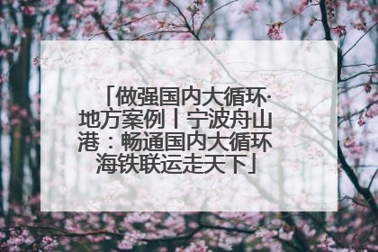 做强国内大循环·地方案例丨宁波舟山港：畅通国内大循环海铁联运走天下