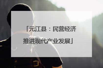 元江县：民营经济推进现代产业发展