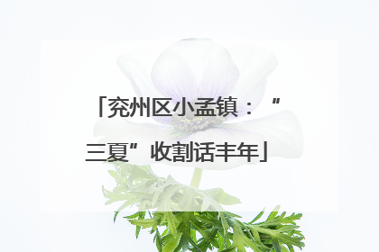 兖州区小孟镇：“三夏”收割话丰年