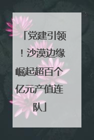 党建引领！沙漠边缘崛起超百个亿元产值连队