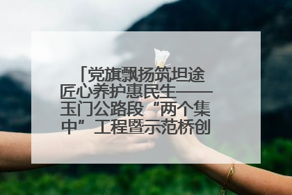 党旗飘扬筑坦途 匠心养护惠民生——玉门公路段“两个集中”工程暨示范桥创建项目圆满收官