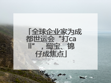 全球企业家为成都世运会“打call”，蜀宝、锦仔成焦点
