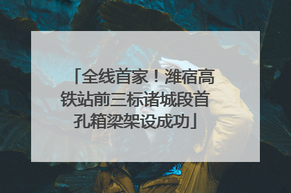 全线首家！潍宿高铁站前三标诸城段首孔箱梁架设成功