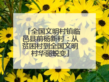全国文明村镇临邑县前杨新村：从贫困村到全国文明村华丽蜕变