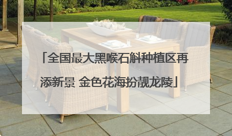 全国最大黑喉石斛种植区再添新景 金色花海扮靓龙陵