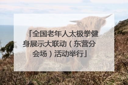 全国老年人太极拳健身展示大联动（东营分会场）活动举行