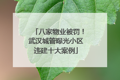 八家物业被罚！武汉城管曝光小区违建十大案例