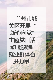 兰州市城关区开展“新心向党”主题党日活动 凝聚新就业群体奋进力量