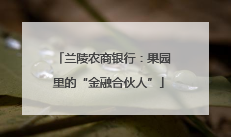 兰陵农商银行：果园里的“金融合伙人”