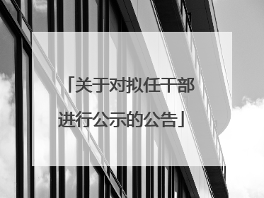 关于对拟任干部进行公示的公告