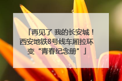 再见了 我的长安城！西安地铁8号线车厢拉环变“青春纪念册”