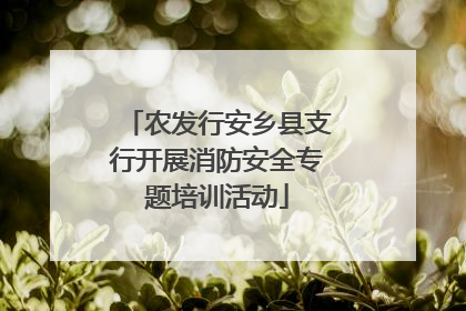 农发行安乡县支行开展消防安全专题培训活动