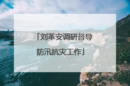 刘革安调研督导防汛抗灾工作
