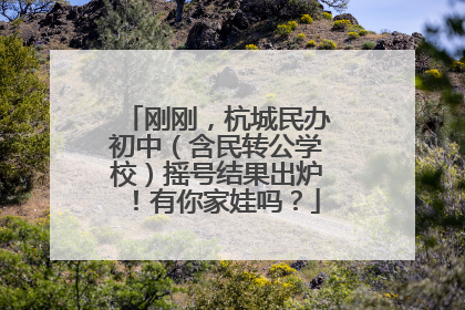 刚刚，杭城民办初中（含民转公学校）摇号结果出炉！有你家娃吗？
