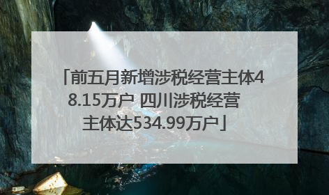 前五月新增涉税经营主体48.15万户 四川涉税经营主体达534.99万户