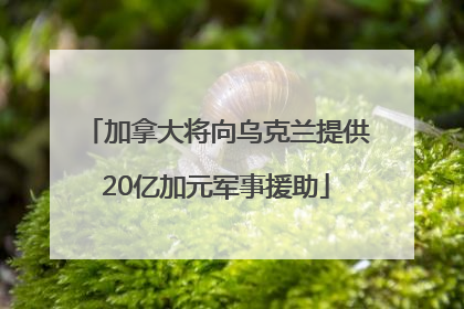 加拿大将向乌克兰提供20亿加元军事援助