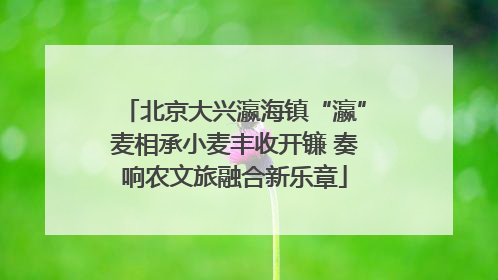 北京大兴瀛海镇“瀛”麦相承小麦丰收开镰 奏响农文旅融合新乐章