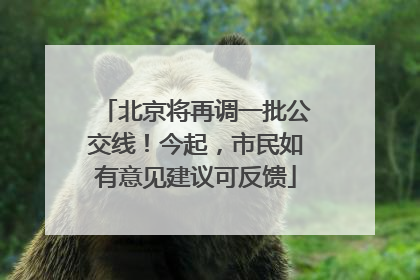 北京将再调一批公交线！今起，市民如有意见建议可反馈