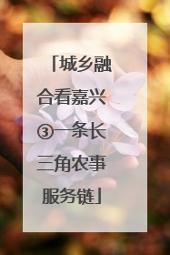 城乡融合看嘉兴③一条长三角农事服务链