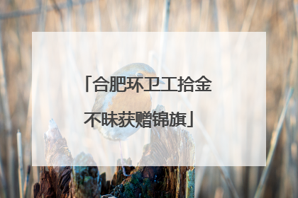 合肥环卫工拾金不昧获赠锦旗