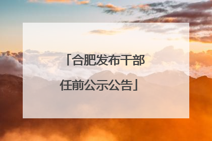 合肥发布干部任前公示公告